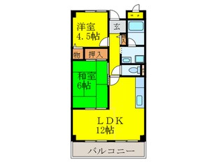 エルパセオ和泉の物件間取画像